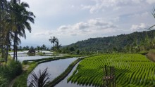 Munduk, Bali